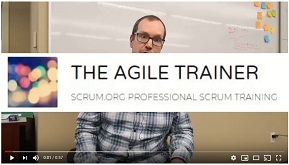steve as a trainer 