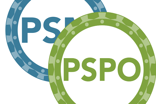 cropped-PSMPSPO-2.png